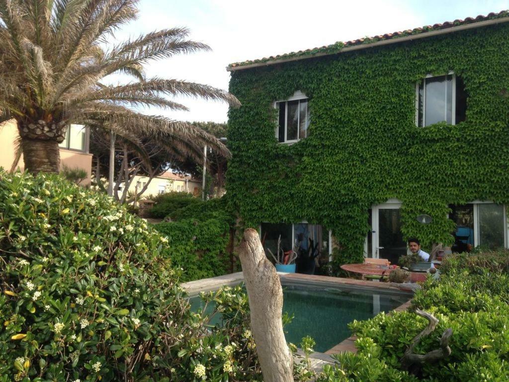 un coin de paradis Six-Fours-les-Plages Extérieur photo